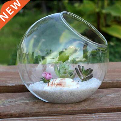15cm Clear Round Glass Vase Bottle Terrarium Hydroponic Cont