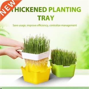 Plant Pots Nursery Pot Easy to Use Corrosion-resistant