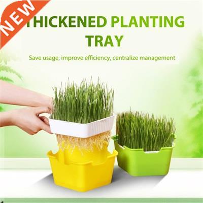 Plant Pots Nursery Pot Easy to Use Corrosion-resistant