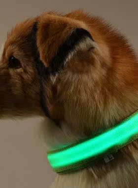 Newest Pet Glow LED Collar Dogs Nylon Luminous Flash Collar