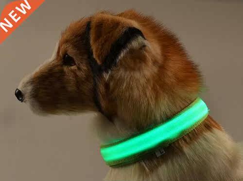 Newest Pet Glow LED Collar Dogs Nylon Luminous Flash Collar