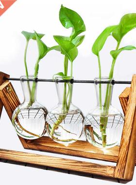 Terrrium Cretive Hydroponic Plnt Trnsprent Vse Wooden