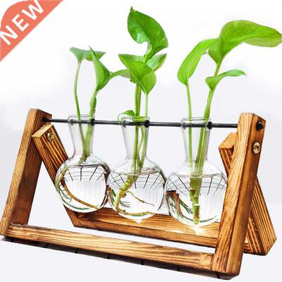 Terrrium Cretive Hydroponic Plnt Trnsprent Vse Wooden