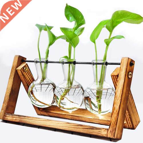 Terrrium Cretive Hydroponic Plnt Trnsprent Vse Wooden