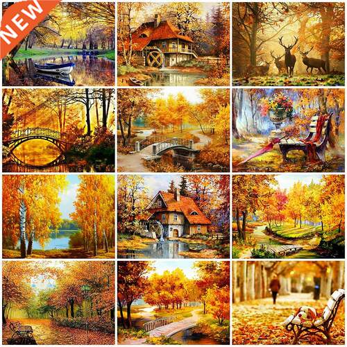 Evershine Full Square Diamond Painting e 5D  Diamond Embr