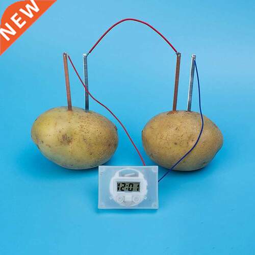 Potato Clock Educational Montessori Materials Toys Nove