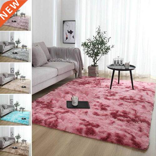 Soft Carpet Living Room Bay Window Homemodern Child Entrance