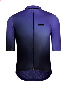 2021New update Purple Green gradient PRO AERO Fit short slee