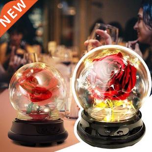 Icicle Lights Cord Led Clear Lights For Her String