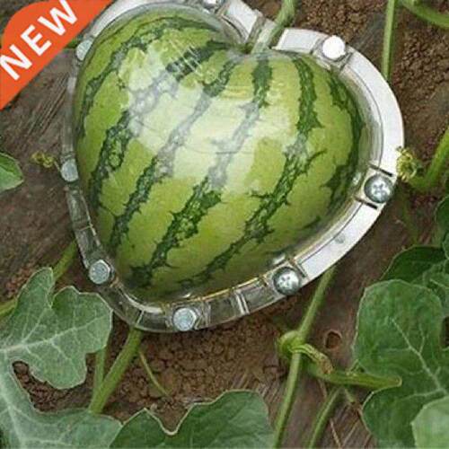 Watermelon Heart Magic Heart Fruits Mould Creative