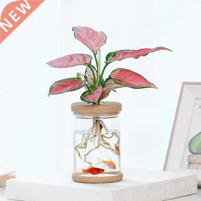 Transparent Hydroponic Flower Pot Imitation Glass Soilless P