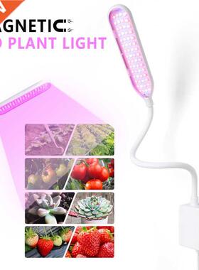 LED Grow Light Full Spectrum USB 5V Phytolamp Plant Growth