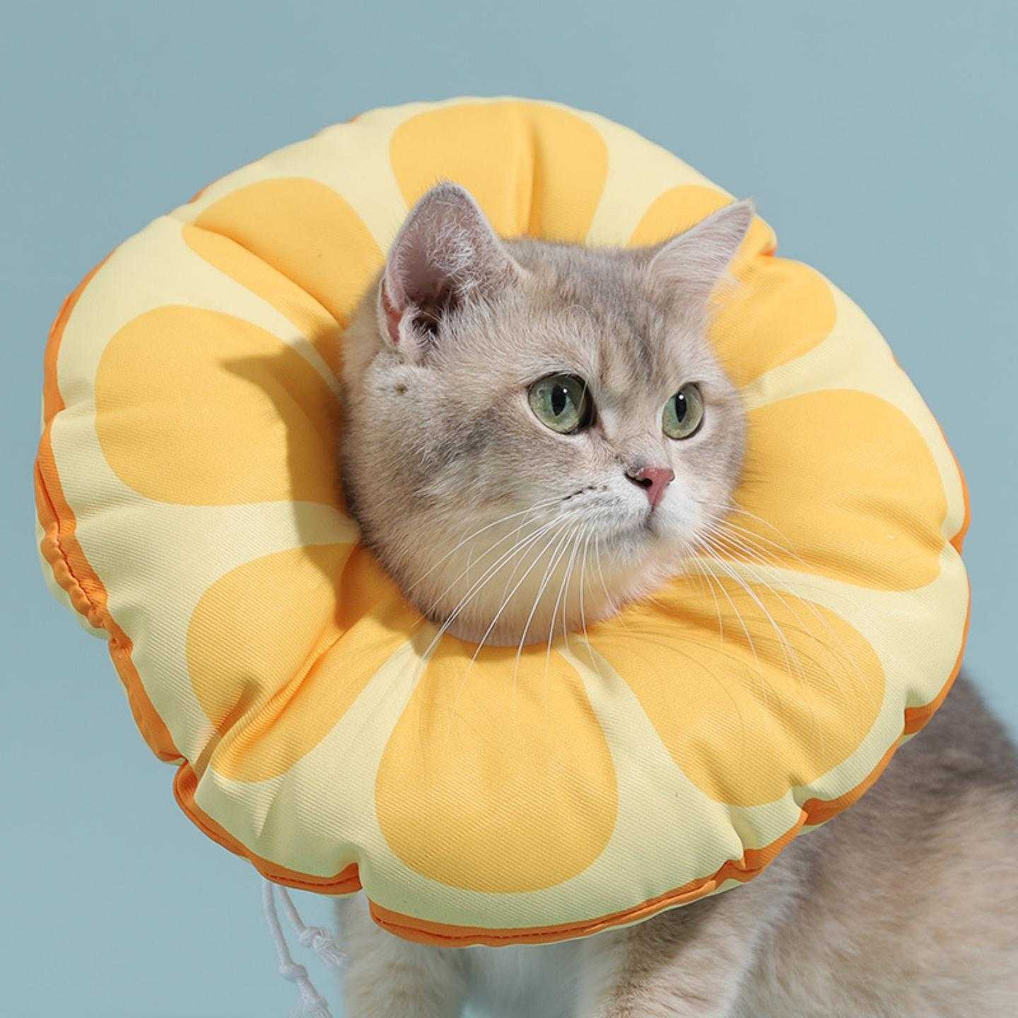 猫咪狗狗绝育保护套 防抓防舔脖圈 可爱饭团防水伊丽莎白圈可拆洗