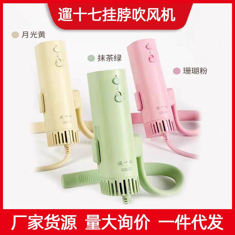 遛十七专业宠物美容吹风机深度降噪静音大风力挂脖狗狗猫咪拉毛机