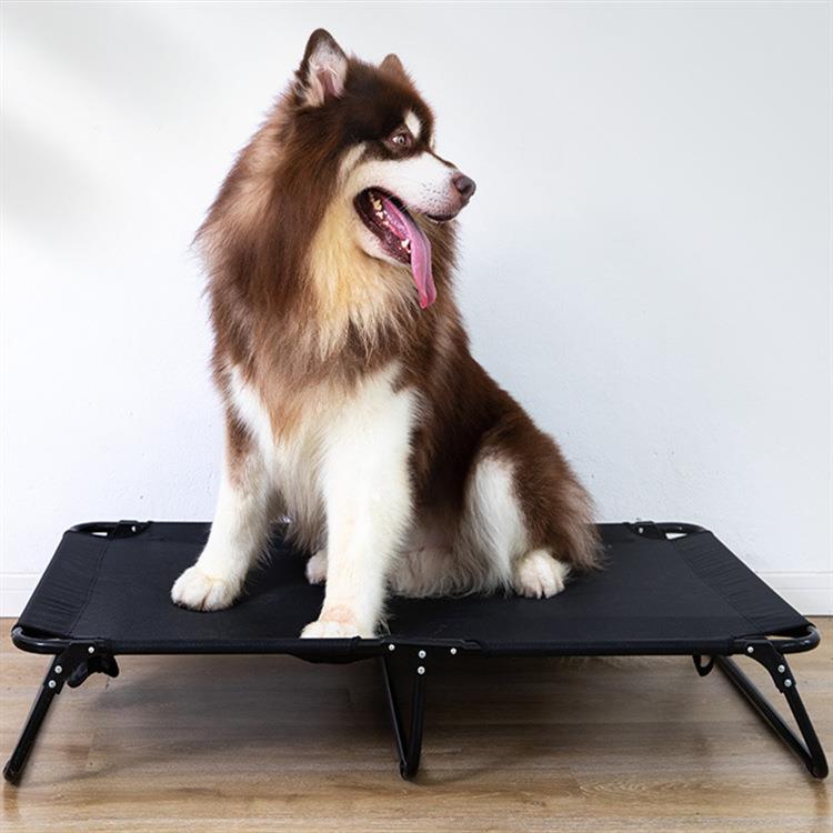 宠物狗狗行军床大型犬离地可拆洗狗窝夏天四季通用折叠床宠物用品