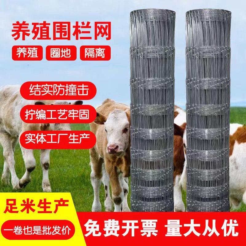 热镀锌钢丝网草原养殖围网农场防护网果园围栏铁丝网防锈牛栏网