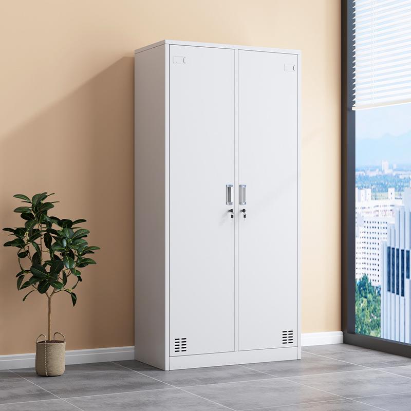 钢制更衣柜员工柜宿舍二门铁皮柜储物柜健身房更衣室存包柜换衣柜