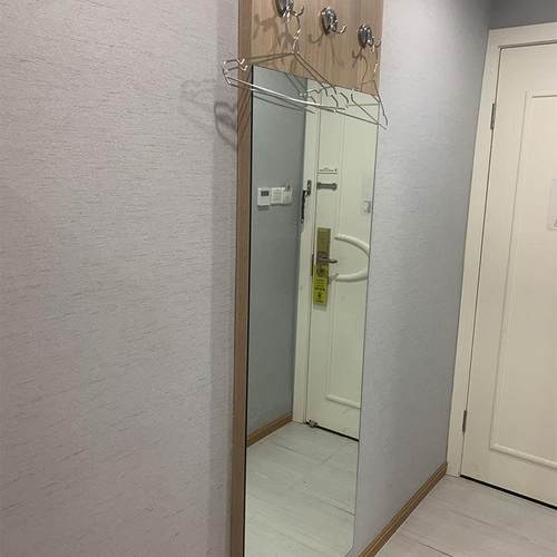 实木复合板穿衣镜 复合多层板穿衣镜 客房家用落地全身镜客房家具