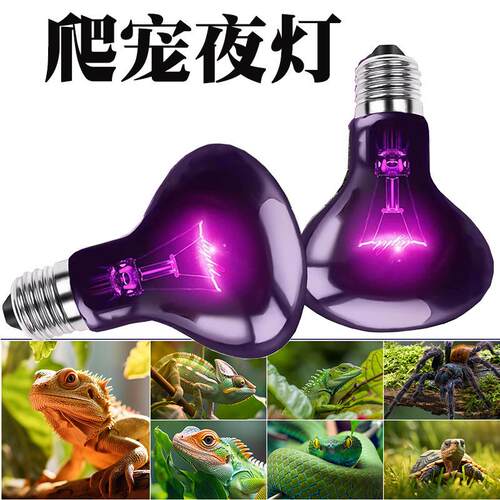 爬宠UVA加热灯日灯夜灯陆龟蜥蜴箱守宫变色龙月光灯保温灯陶瓷灯