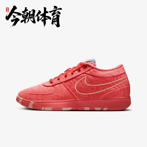 NIKE/耐克 男子BOOK 1 TEXT EP运动休闲舒适训练篮球鞋IB8053-800