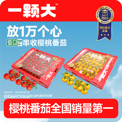 一颗大樱桃串番茄小西红柿