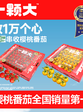 【一颗大】玲珑串樱桃番茄新鲜自然熟小西红柿应季水果1kg/盒