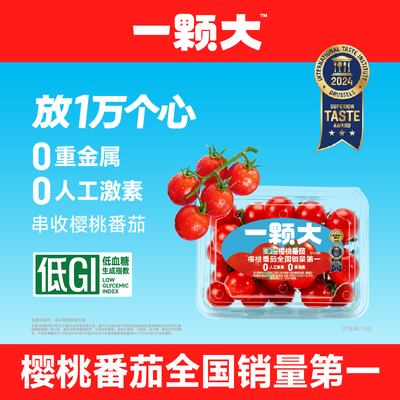 一颗大樱桃番茄新鲜自然熟