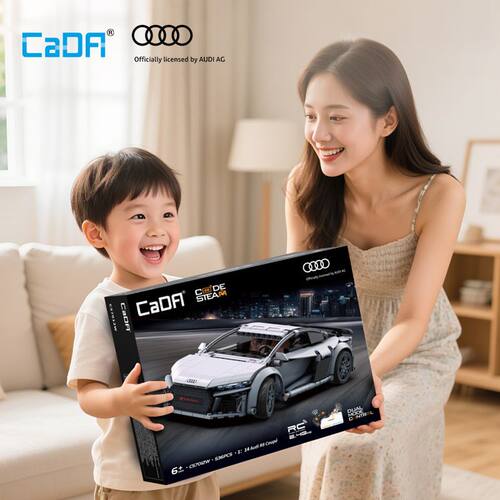 双鹰咔哒正版授权57012奥迪R8Coupe可遥控编程积木跑车拼装玩具男