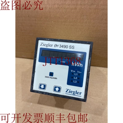 原装供应ZIEGLER 能源计量器 3Ph EM 3490 SS