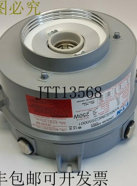 Crouse Hinds NVMVS3MC2550001 HID Luminare 250W S E40 灯