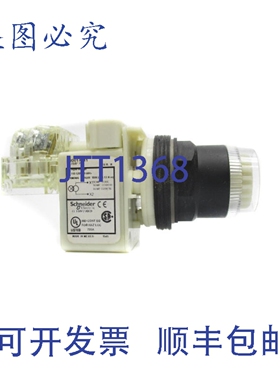 原装供应9001KM1W H 系列 110-120VNSNP