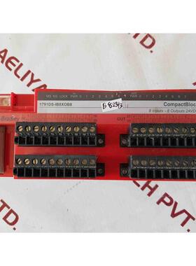 原装供应AB 1791ds-ib8x0b8 结构模块 8 英寸输入 - 8