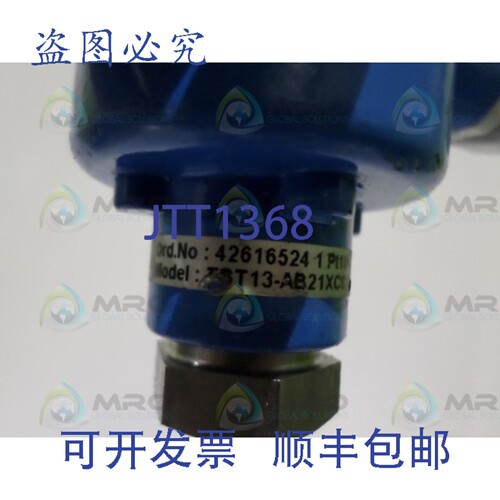 原装供应ENDRESS HAUSER PT100 TST13-AB21XCS2BA2P-PCP 温度传感