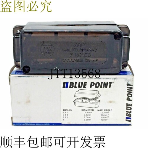 奇胜 BLUE POINT BP350/7 仪表连接线 有源和中性线 7 孔 500V 35