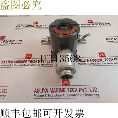 原装供应气体监测仪 Itrans C5H12 Industrial Scientific 781463