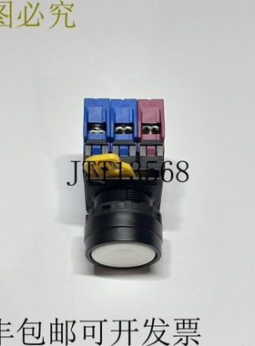 Idec YW 系列 22 毫米带未知瞬间 2NO 1NC 白色 YW1B-M1E21W