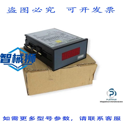 原装供应 MONTWILL DV3.001.170C 数字面板表-DV3.001.170C