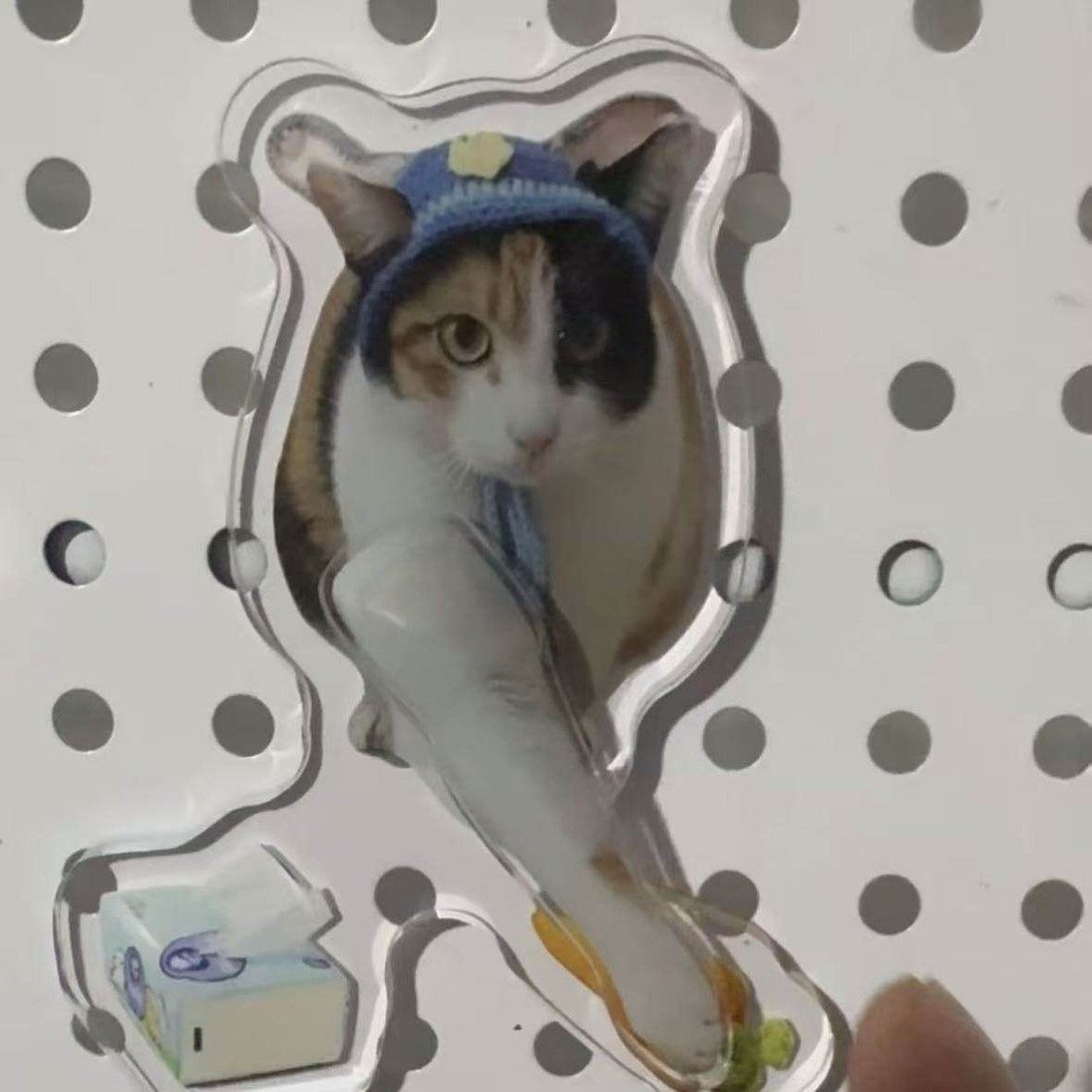 【现货包邮】开门小猫萝卜纸巾真棒察言观色旋转亚克力冰箱贴,模玩/动漫/周边/娃圈三坑/桌游,动漫徽章/立牌,淘宝优惠券,粉丝福利购,淘宝优惠卷
