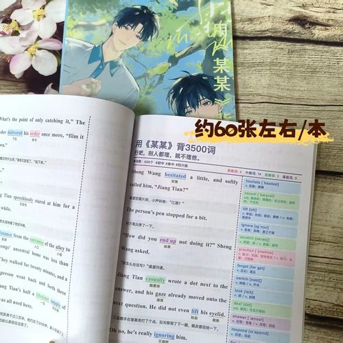 新款《某某》3500单词看小说背单词圣诞礼物闺蜜对象学习彩页现货