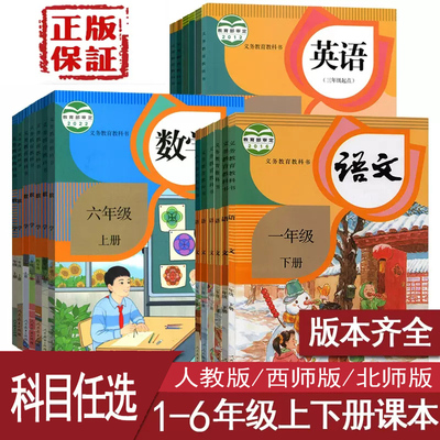 2024新版小学一二年级三年级四五六年级上册下册语文数学英语书课本教材全套人教版部编版数学西师版英语重大版义务教育教科书正版