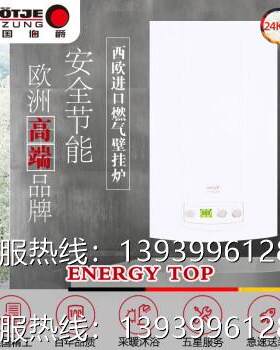 德国伯爵ENERGY TOP经典家用常规燃气壁挂炉采暖 天然气采暖两用