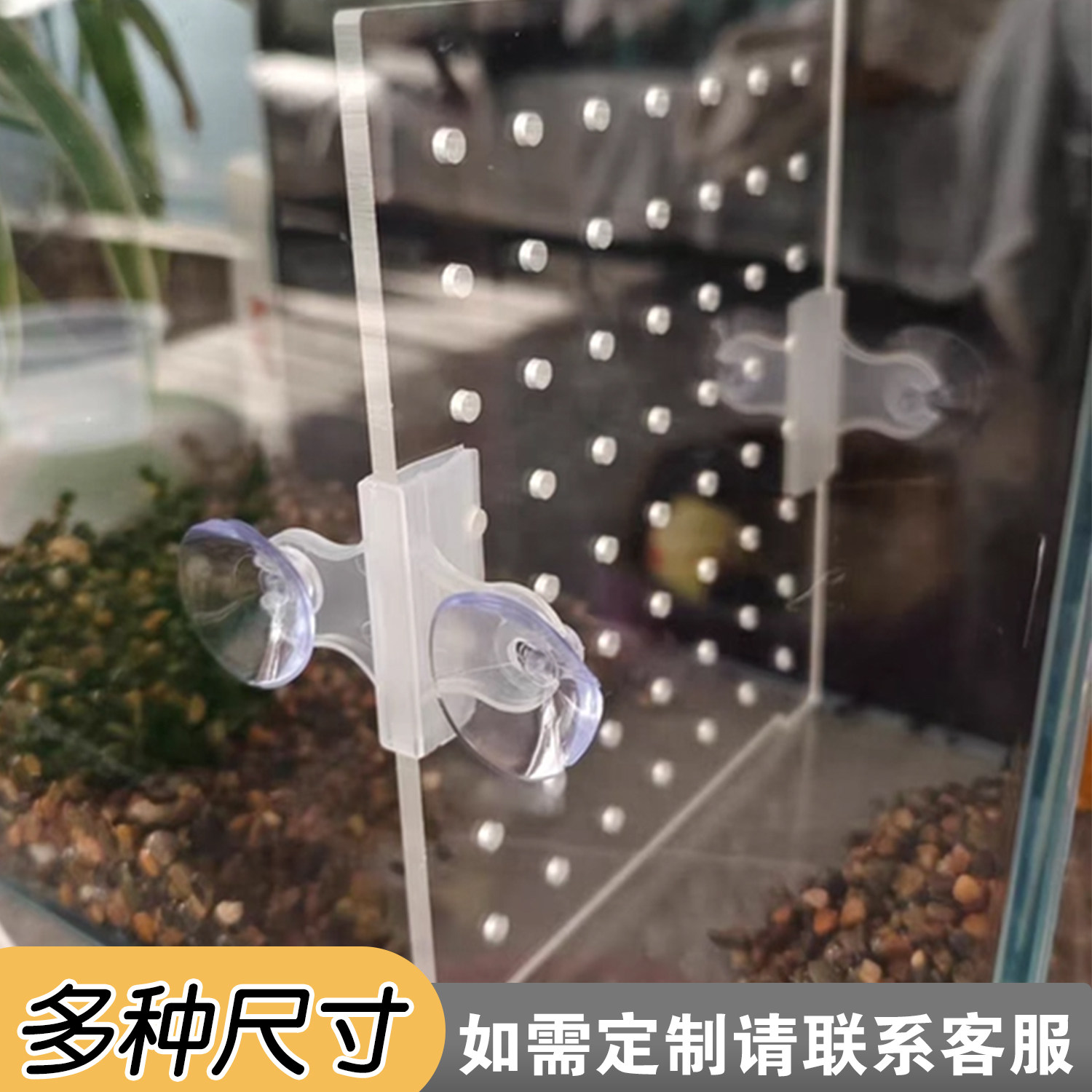 鱼缸隔板亚克力创意亚克力壁挂吸盘隔断乌龟幼鱼缸隔离盒独立饲养盒缸内斗鱼专用加工任意定制定做鱼缸洞洞板