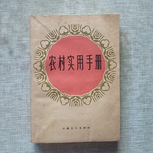 SH正版旧书原农村实用手