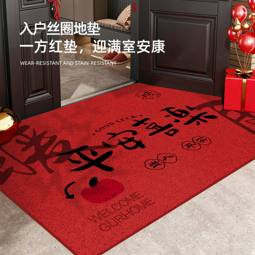 入户门地垫玄关免洗耐脏进门脚垫