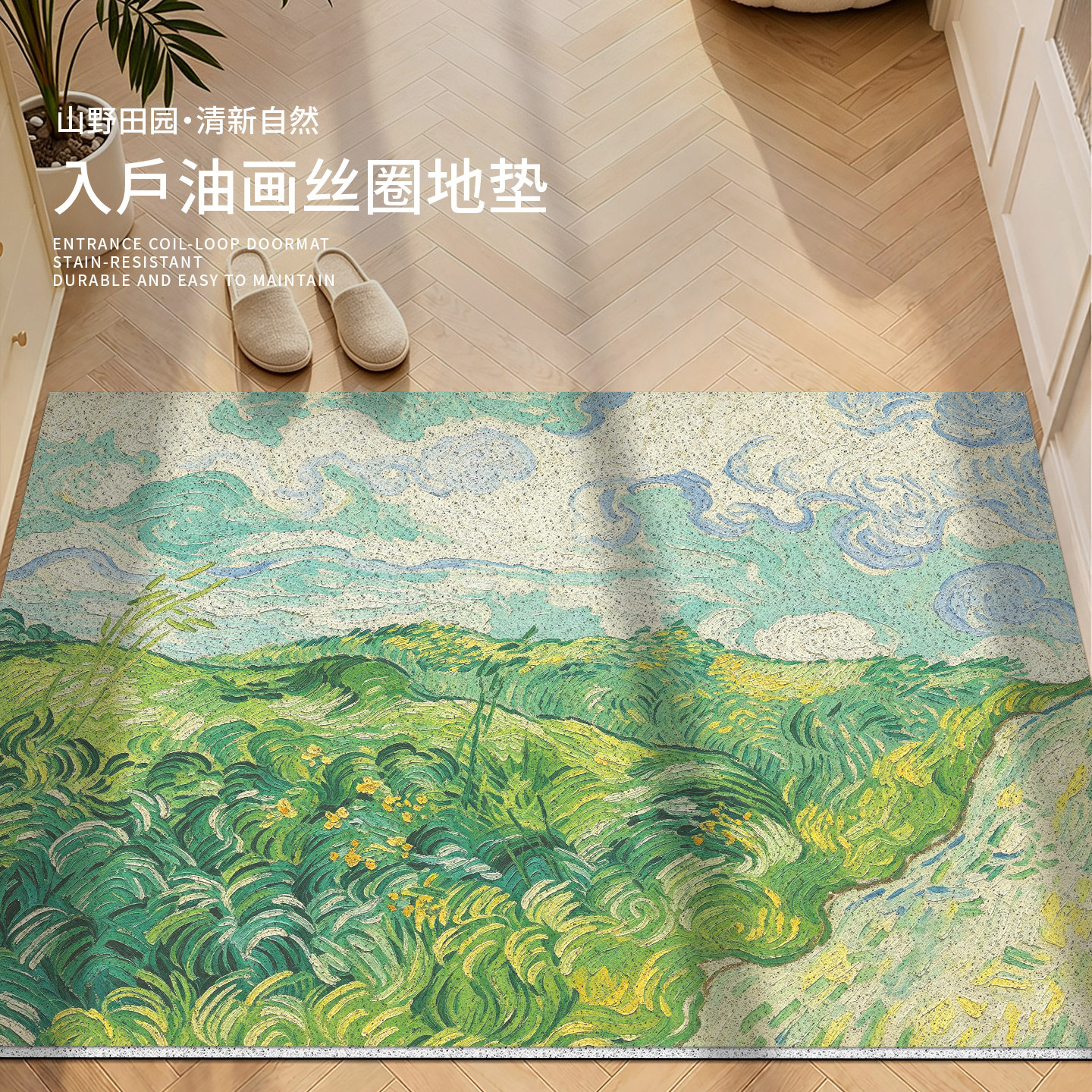 入户门地垫玄关免洗耐脏加厚脚垫图片