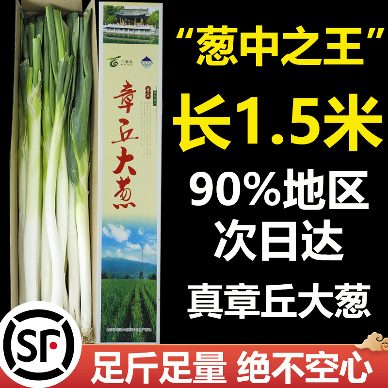 顺丰正宗特级章丘大葱精品礼盒装