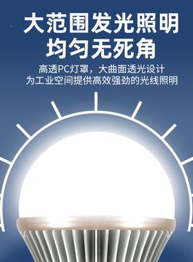 LE灯D压带线LJ-1221灯泡低243v6v127v防水出线球泡造船施工照明低