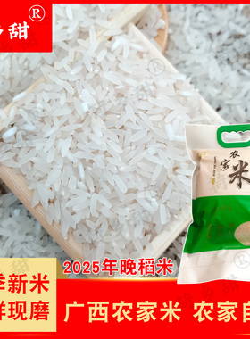 2025新款广西贵港大米当季晚稻优质新鲜长粒香新米1斤2斤5斤香米
