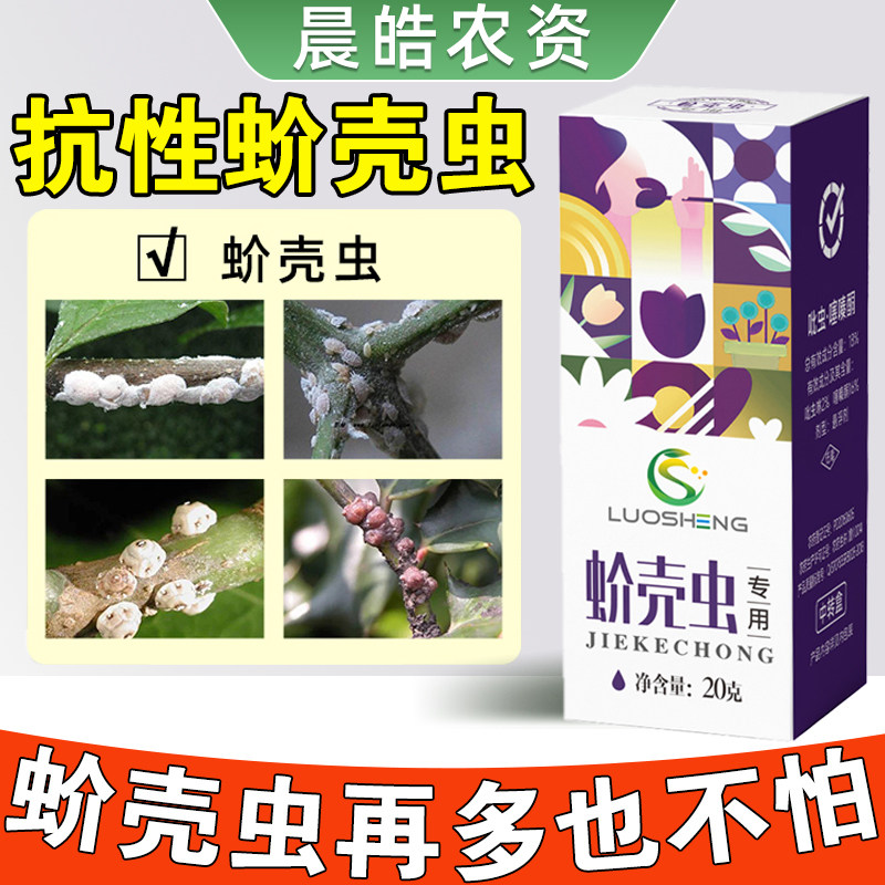 蚧壳虫专用杀虫剂多肉仙人掌幸福树室内室外热卖款介壳虫除虫药剂