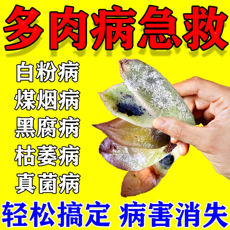 农业部推荐】多肉杀虫杀菌专用药